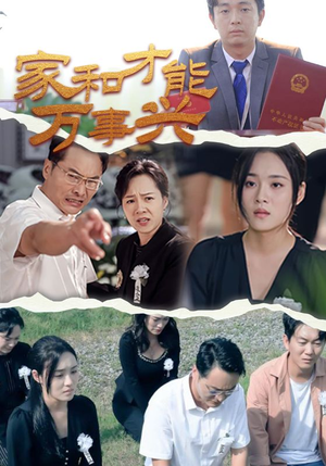 家和才能万事兴（30集）热播短剧排行榜