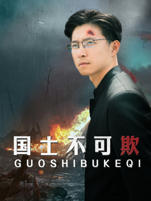 国士不可欺（79集）短剧排行榜
