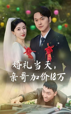 婚礼当天，亲哥加价18万（36集）剧情简介
