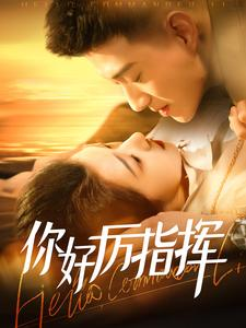 你好厉指挥（100集）短剧小说在线看