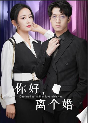 你好，离个婚（30集）免费观看完整版