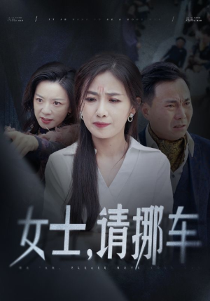 善门难开（29集）最新短剧抢先看