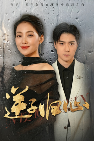 逆子归心（31集）1-102集