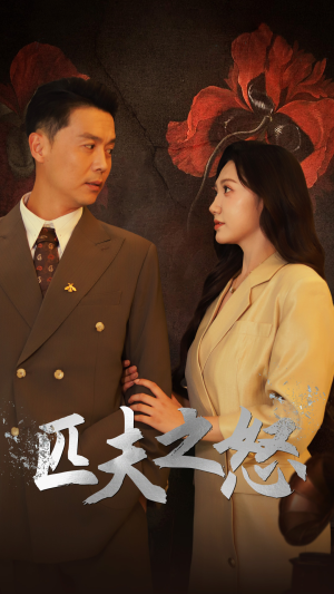 匹夫之怒（48集）热门短剧来袭