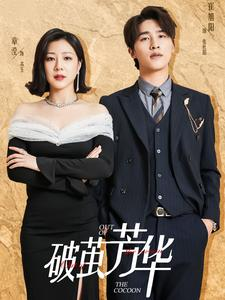 破茧芳华（80集）解说文案