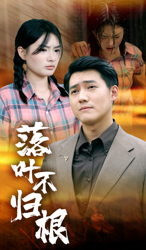 落叶不归根（54集）短剧全集免费
