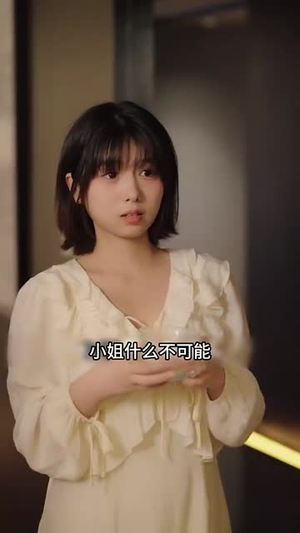 梅花印记（48集）免费版
