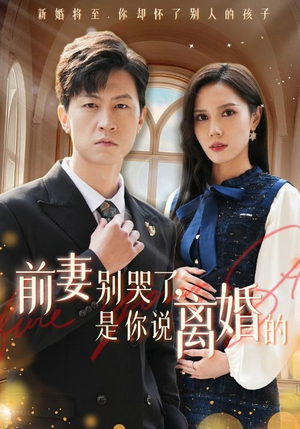 前妻别哭了，是你说离婚的（42集）全集一次看完