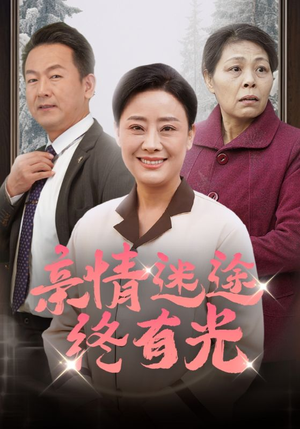 亲情迷途终有光（32集）看过的人都说好