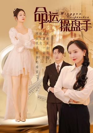 命运操盘手（40集）百度网盘资源