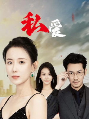 私爱（66集）精彩短剧热播