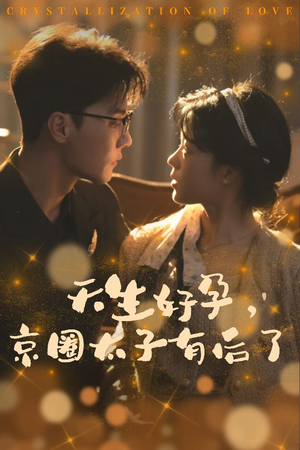 你与光共落人间（30集）免费短剧资源