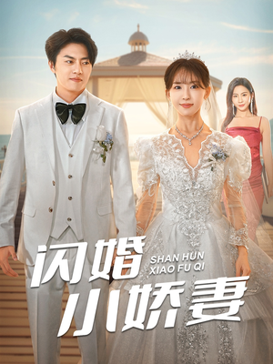 闪婚小娇妻（102集）免费版