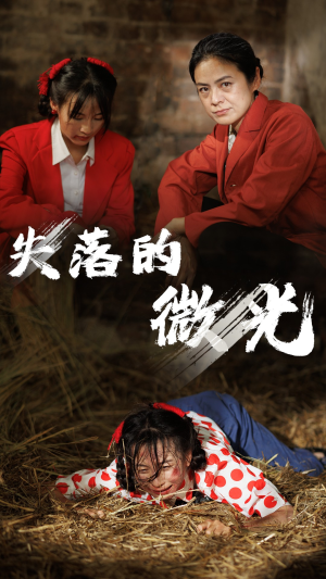 失落的微光（60集）百度在线观看