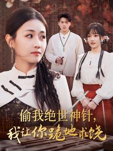 偷我绝世神针，我让你跪地求饶（30集）穿越短剧推荐