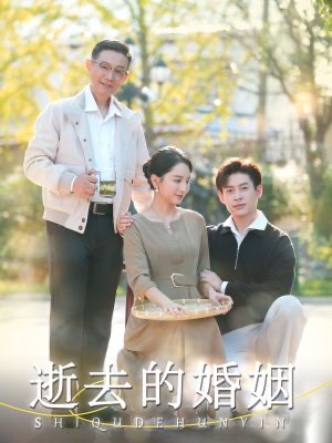 逝去的婚姻（60集）评价怎么样
