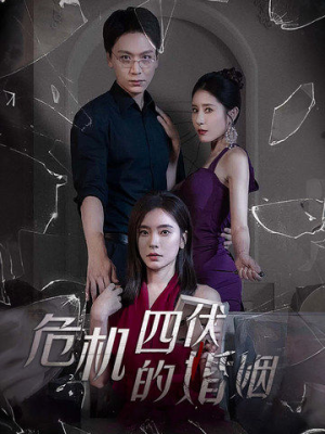 危机四伏的婚姻（56集）免费观看完整版