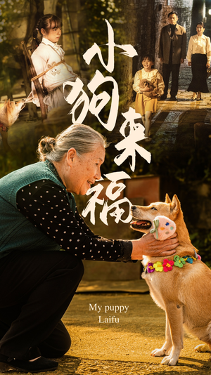 小狗来福（30集）短剧片段分享