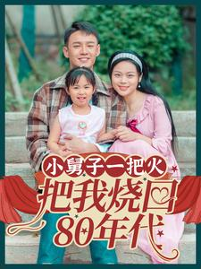 小舅子一把火把我烧回80年代（100集）一个短剧看全集