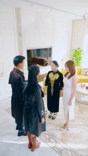 杏林逸韵（100集）短剧在线观看