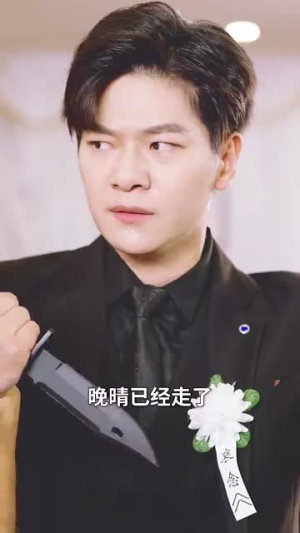 为了你我愿意放弃全世界（27集）解说