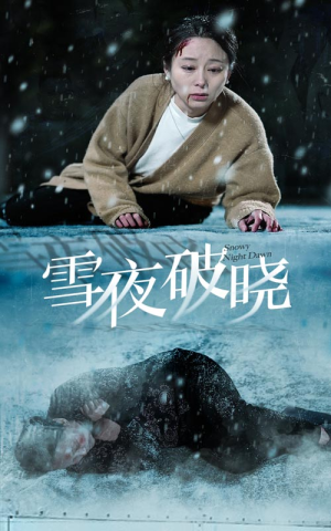 雪夜破晓（36集）短剧免费分享