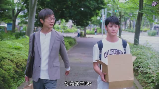 向阳之处必有声（12集）最新热播短剧