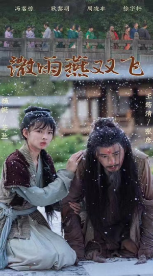 微雨燕双飞（60集）短剧越看越精彩