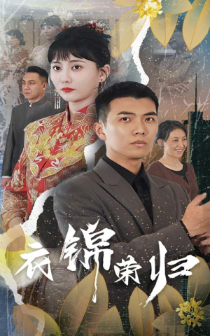 衣锦荣归（81集）热门了短剧