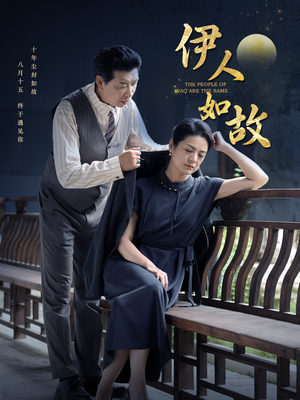 伊人如故（95集）短剧小说在线看