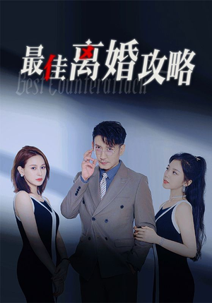 最佳离婚攻略（31集）百万短剧抢先看