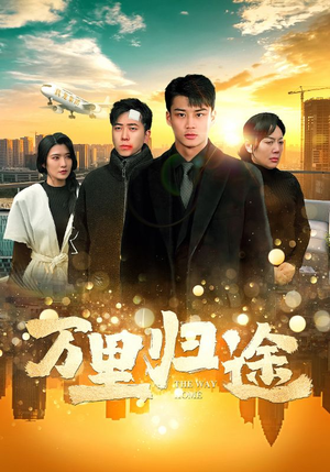 万里归途（70集）短剧分享剧集