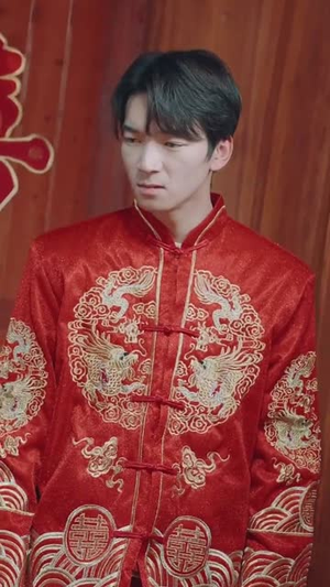 乡村卧龙（88集）全集完整版
