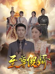至尊傻婿（82集）好看吗
