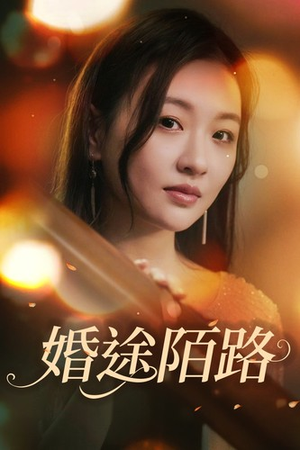 婚途陌路（15集）精彩短剧看不停