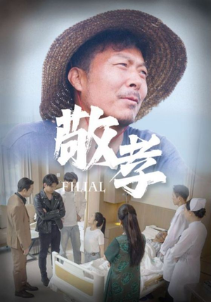 敬孝（61集）无需会员免费看