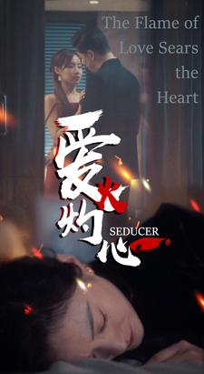 爱火灼心（99集）免费看全网短剧