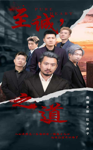 至诚之道（75集）热门短剧大全