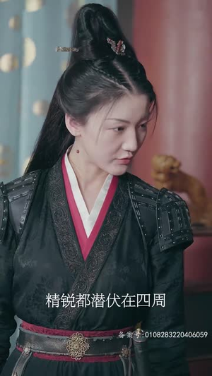 王行天下（100集）热播短剧免费看
