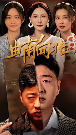 由南向北（88集）免费在线看