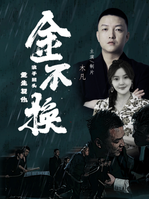 金不换（32集）河马免费短剧