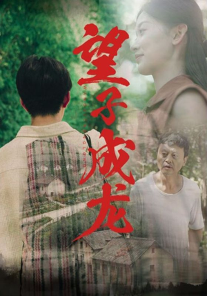 望子成龙（74集）一起追短剧