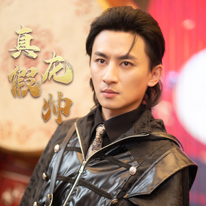 真假龙帅（81集）大结局完美收官