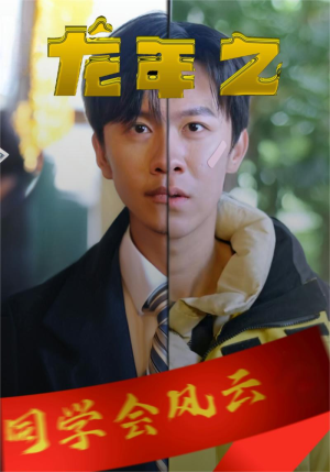 龙年之同学会风云（94集）免费版