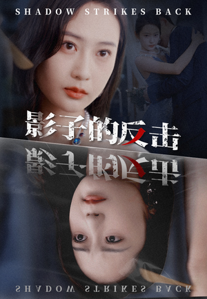 影子的反击（31集）一口气看完全集