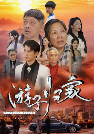 游子归家（88集）短剧后续更精彩