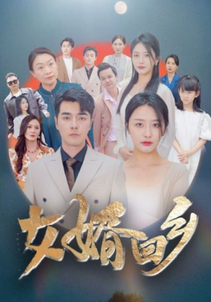 女婿回乡（120集）超甜短剧分享