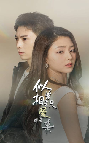 似曾相识爱归来（77集）全集一次看完