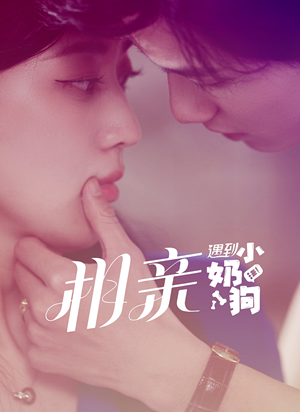 相亲遇到小奶狗（80集）抢先看热门短剧