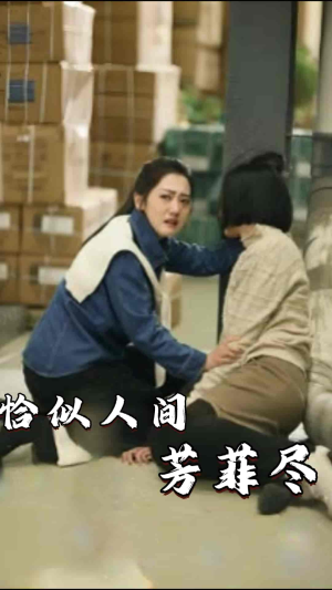 恰似人间芳菲尽（68集）短剧推荐更新中